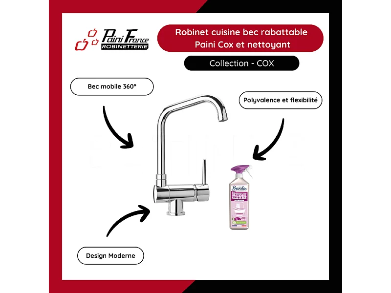 Robinet cuisine bec rabattable Paini Cox et Nettoyant