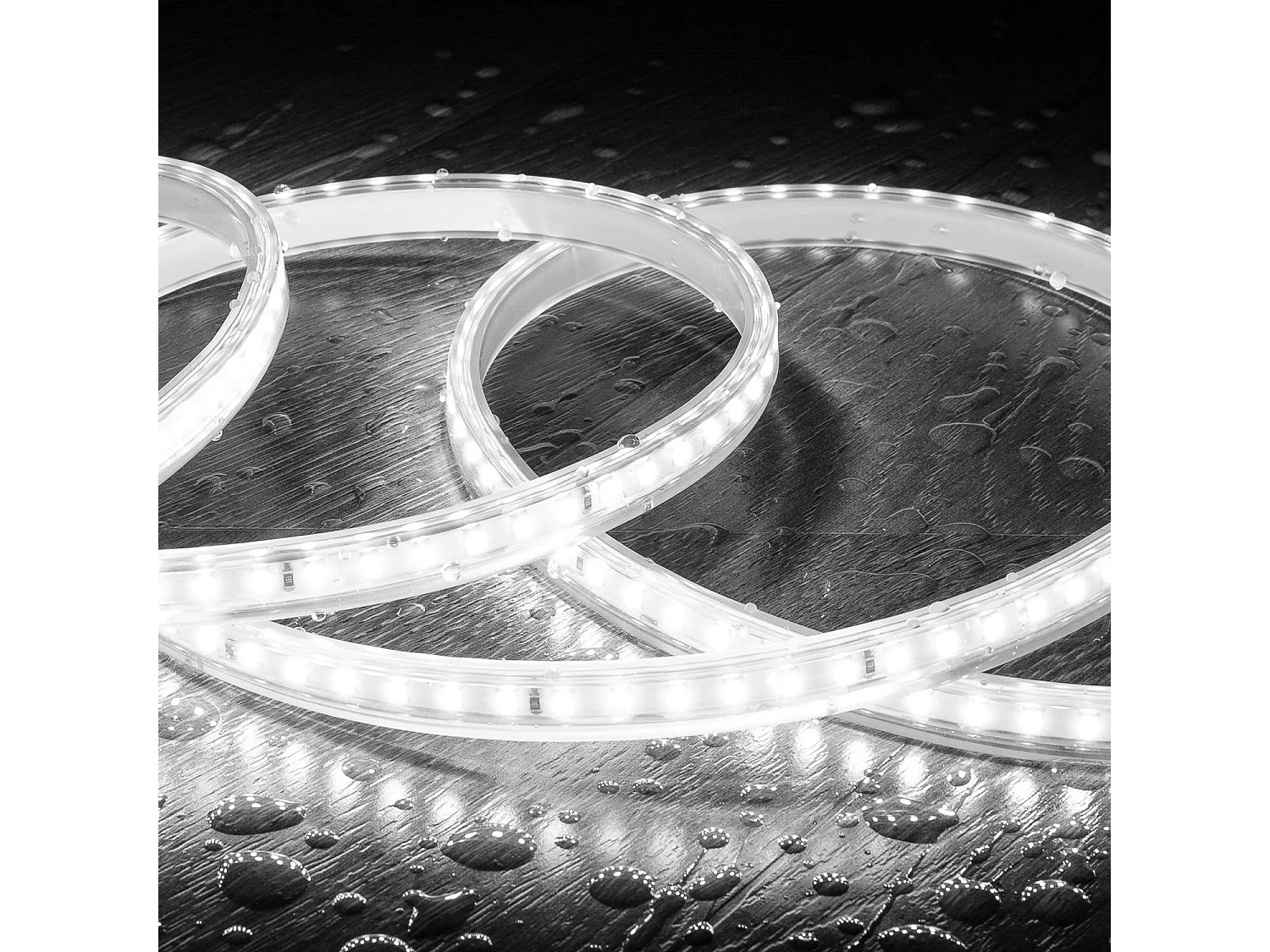 Tira LED Regulable 220V SMD 120 LED/m BOBINA 50m 8.5W/m 850lm/m Ancho 12mm Corte 20cm IP65 6000K Blanco Frío