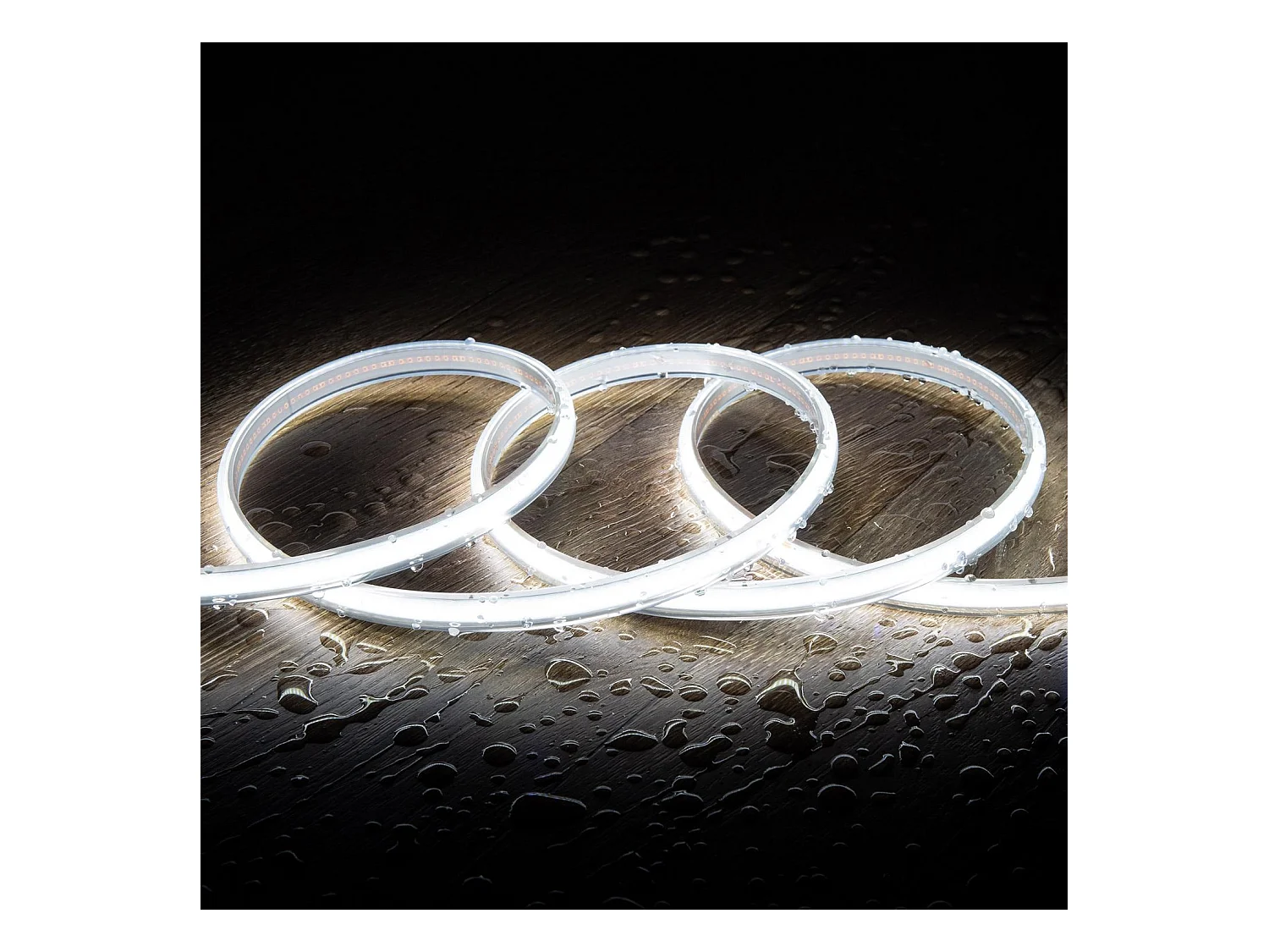 Striscia LED Regolabile 220V COB 320 LED/m Bianco Freddo 8W/m 720lm/m Larga 12mm IP65 CRI90 Taglio 50cm 3 m