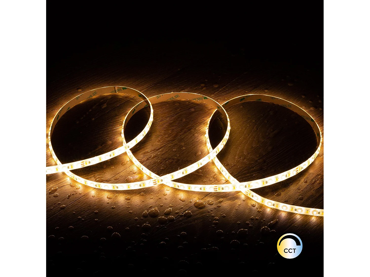 Bobina 5m Striscia LED 24V SMD CCT 120 LED/m 10W/m 800lm/m Larga 10mm IP65 Taglio 10cm Selezionabile (Caldo-Naturale-Freddo)
