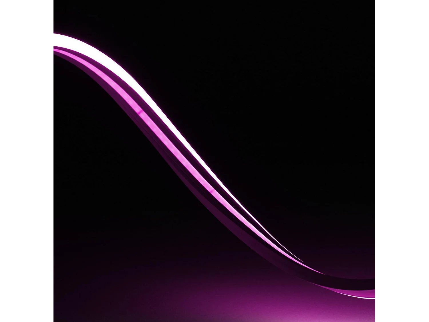 Striscia LED Neon 48V Rosa 8W/m NFLEX6 IP65 Taglio 5cm 4 m