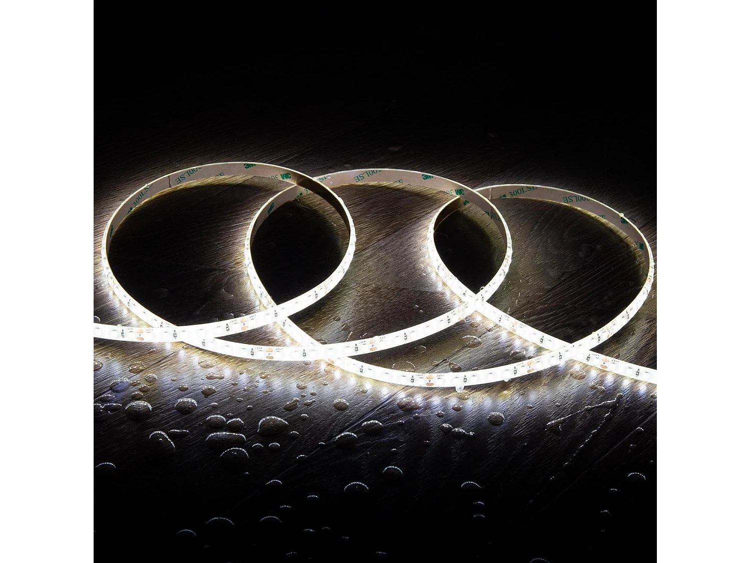 Bobina 5m Striscia LED 24V SMD 120 LED/m 10W/m 1000lm/m Larga 8mm IP65 Taglio 5cm 6000K Bianco Freddo