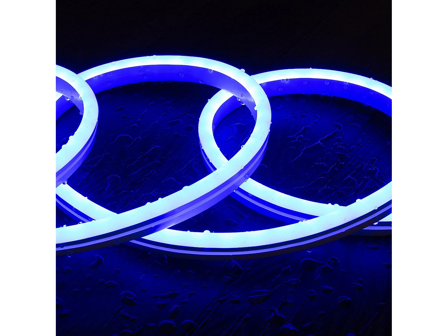 Ruban LED Néon Digital SPI 24V RGBIC 5m IP65 Kit avec Source d'Alimentation et Contrôleur RGBIC