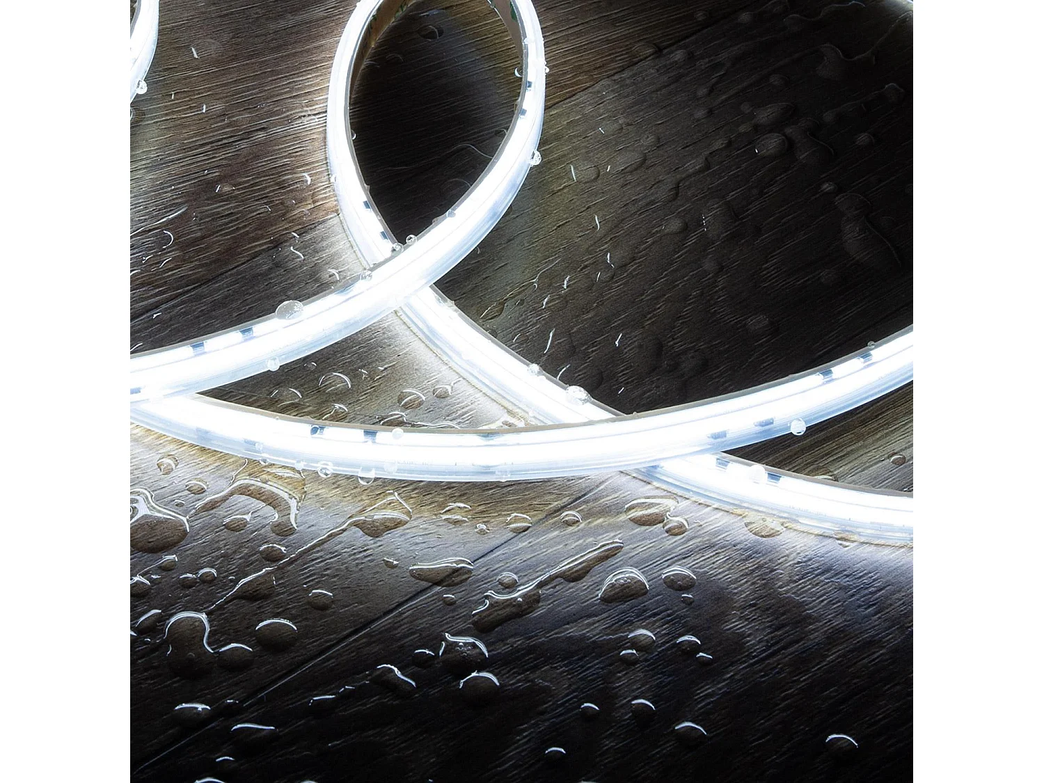 Ruban LED Dimmable 220V COB Auto-redressement 320 LED/m BOBINE 50m 8W/m 720 lm/m Largeur 12mm Coupe 50cm IP65 CRI90 6000K Blanc froid