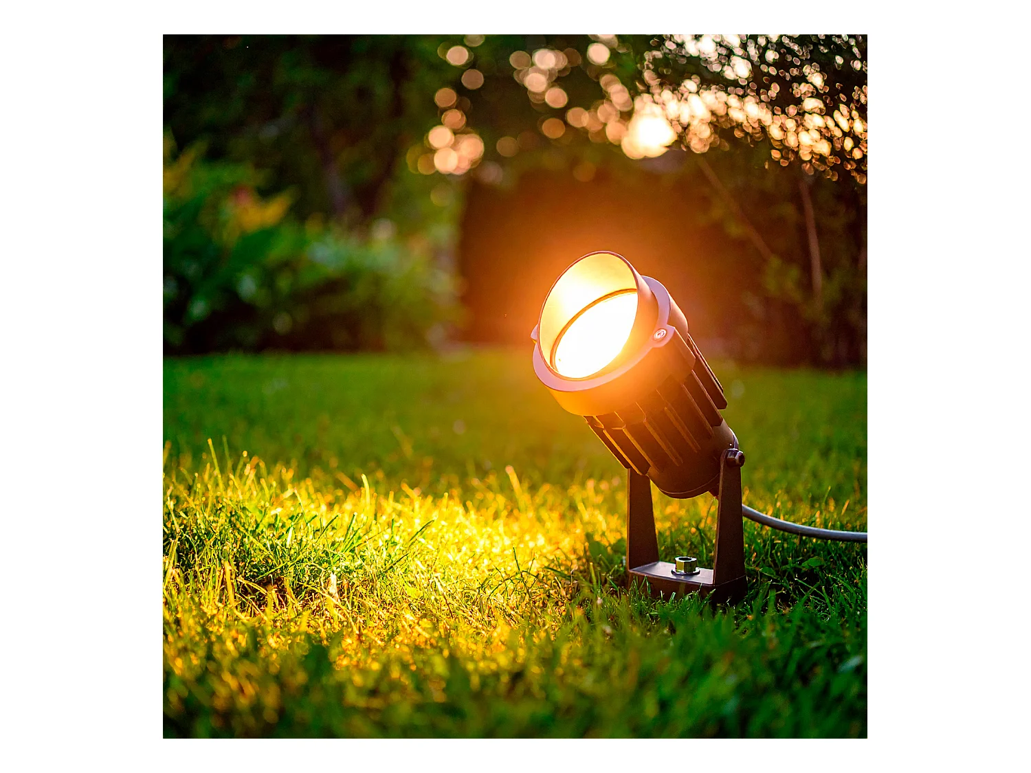 Spot LED Extérieur 6W sur Piquet Palm EasyFit 12V Noir