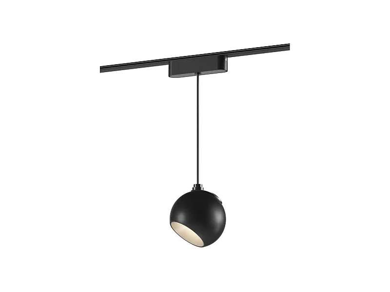 Spot LED Suspendu sur Rail Magnétique 25mm Extra-Plat 12W 48V Concave Ø100 mm Noir 2700K Blanc chaud