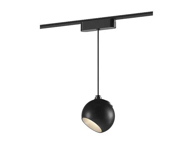 Spot LED Suspendu sur Rail Magnétique 25mm Extra-Plat 12W 48V Concave Ø100 mm Noir 2700K Blanc chaud