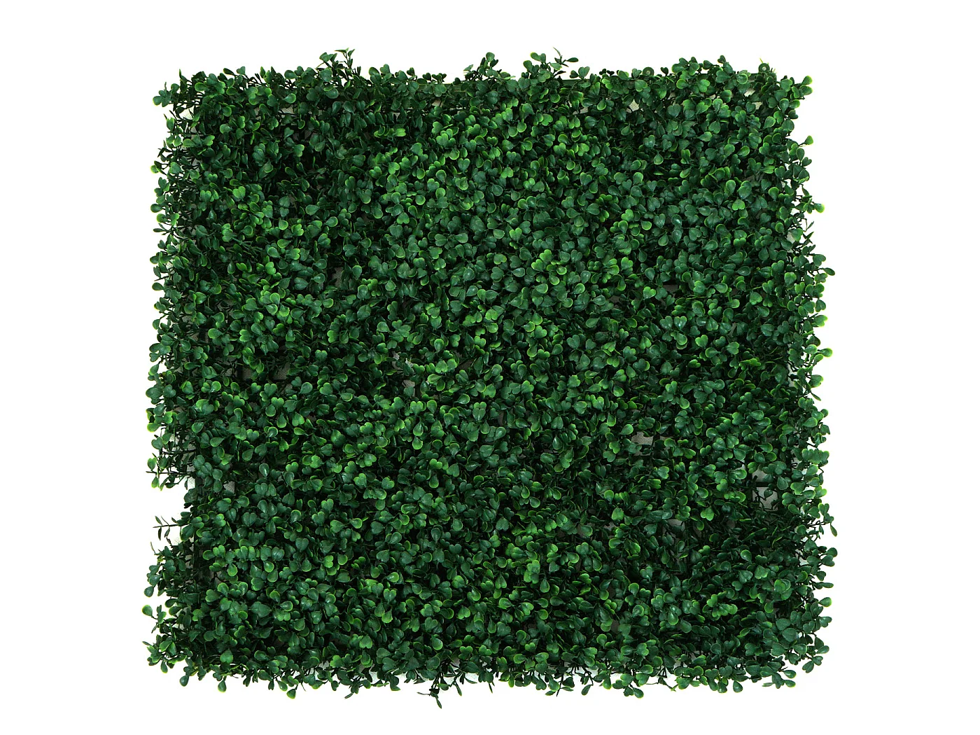 ODTORY Pannelli da parete in legno di bosso artificiale, 50,8 x 50,8 cm, 12P, anti UV, anti più denso, per interni ed esterni, decorazione per pareti verdi e recinzioni di edera, copertura