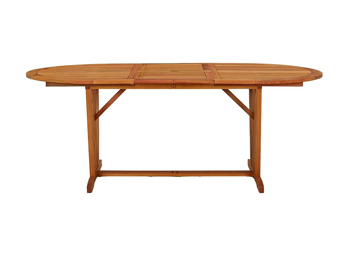 Table de jardin 200x100x75 cm Bois d'eucalyptus solide GHR69654