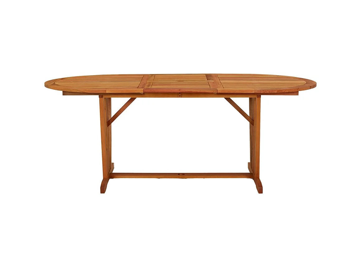 Table de jardin 200x100x75 cm Bois d'eucalyptus solide GHR69654