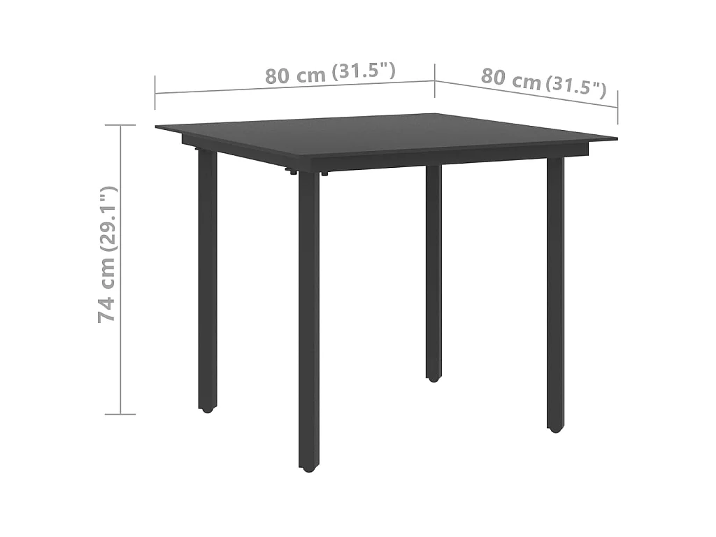Tuintafel 80x80x74 cm staal en glas zwart NL100974