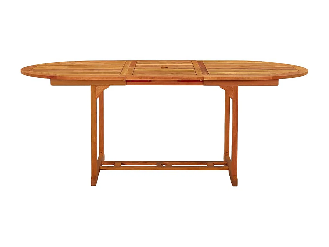 Table de jardin 200x100x75 cm Bois d'eucalyptus solide GHR68468