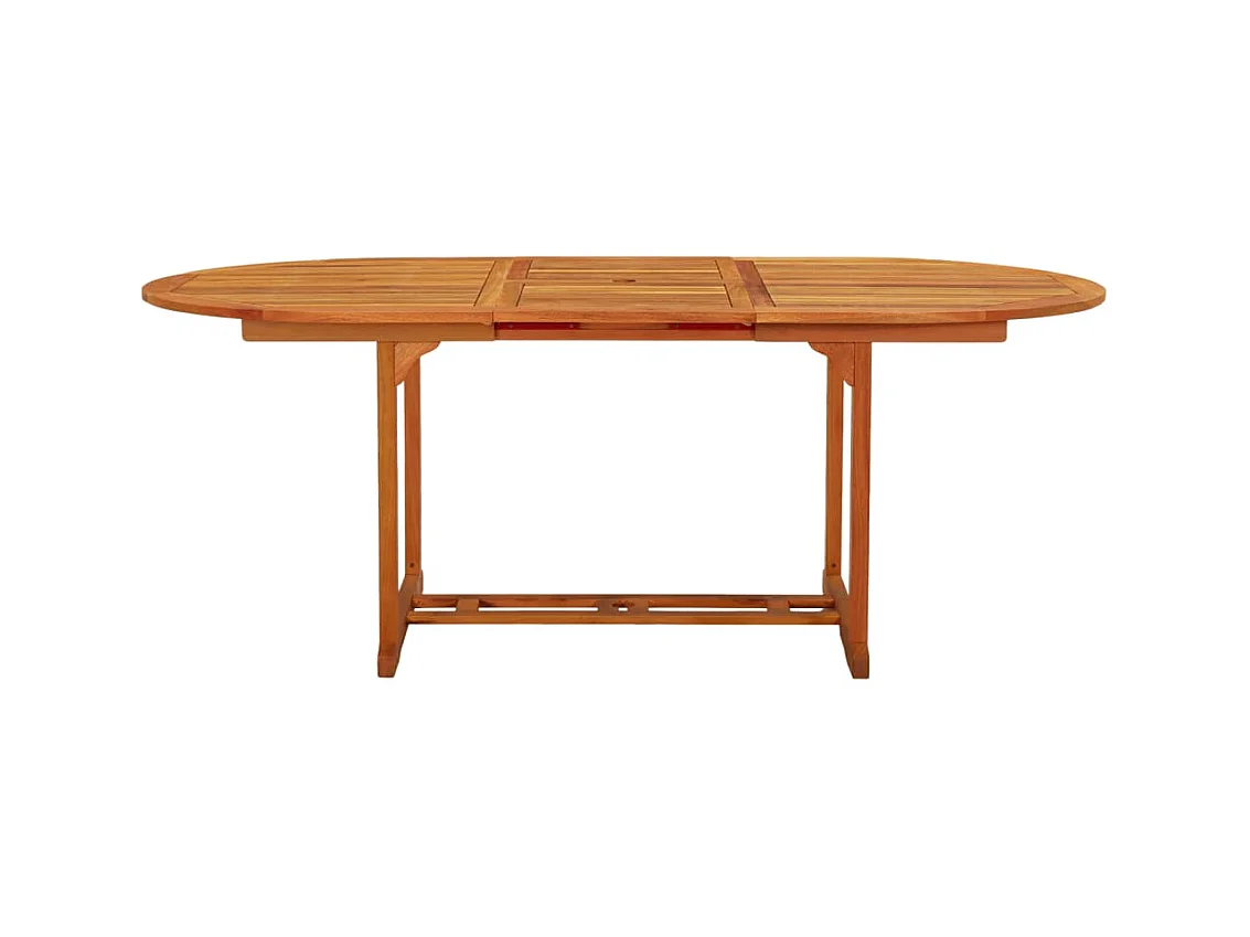 Table de jardin 200x100x75 cm Bois d'eucalyptus solide GHR68468