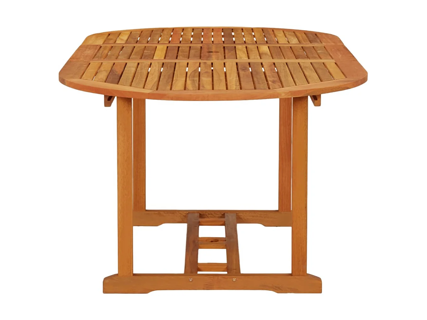 Table de jardin 200x100x75 cm Bois d'eucalyptus solide GHR68468