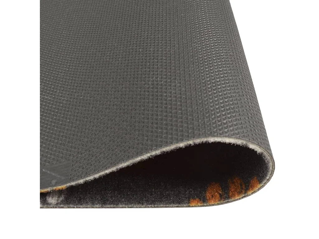 Tapis de cuisine lavable impression de pattes 45x150 cm velours QBH31580
