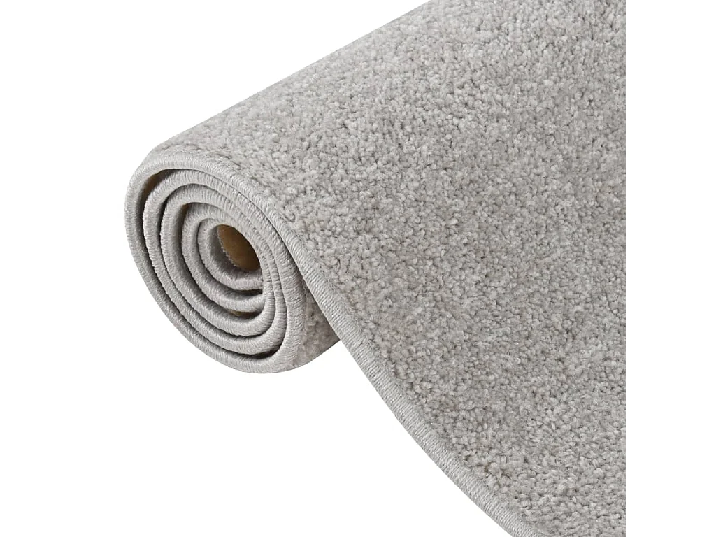 Tapis à poils courts 240x340 cm Gris clair QBH72028
