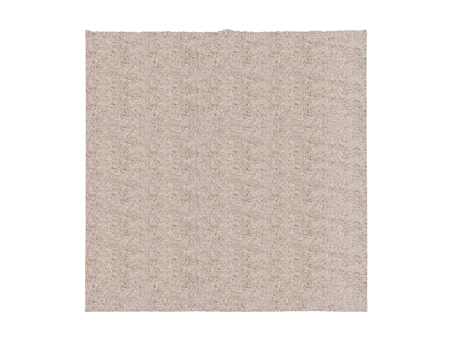 Vloerkleed PAMPLONA shaggy hoogpolig modern 160x160 cm beige NL381627