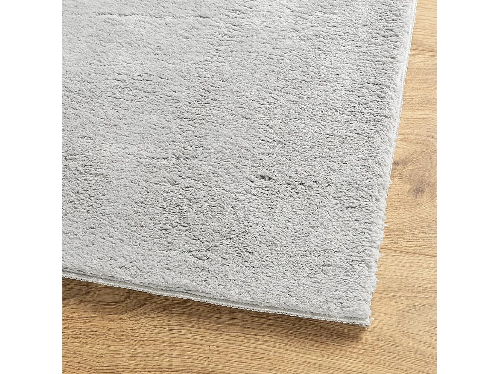 Tapis HUARTE à poils courts doux et lavable gris 160x230 cm QBH64662