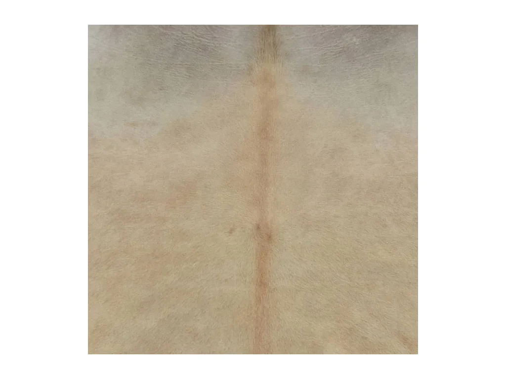 Tapis en peau de vache véritable beige 180x220 cm QBH93886
