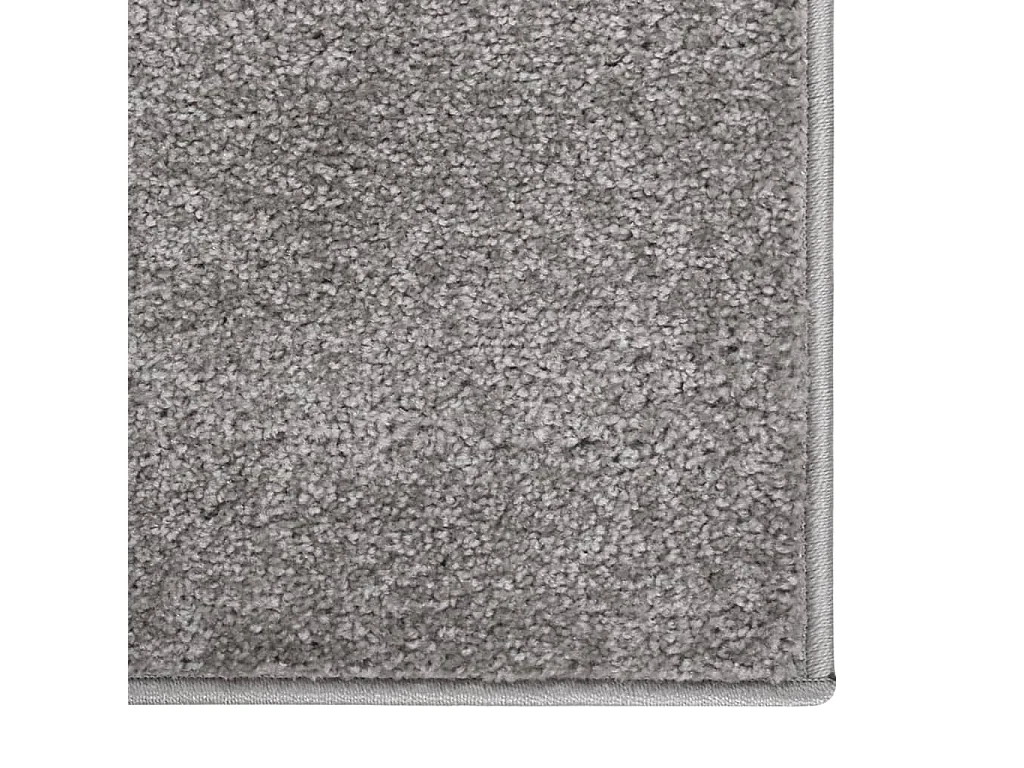 Tapis à poils courts 140x200 cm Gris QBH38450