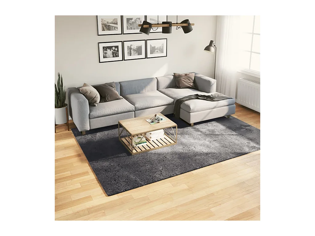 Tapis HUARTE à poils courts doux lavable anthracite 200x280 cm QBH48645