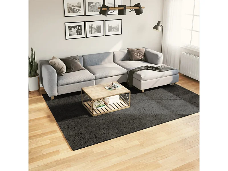 Tapis ISTAN à poils longs aspect brillant anthracite 200x280 cm QBH60606