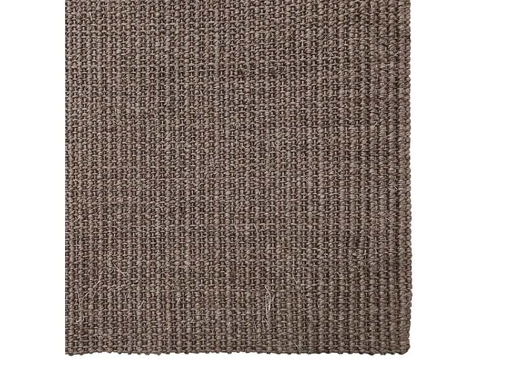 Tapis Sisal naturel 66x350 cm Marron QBH37638