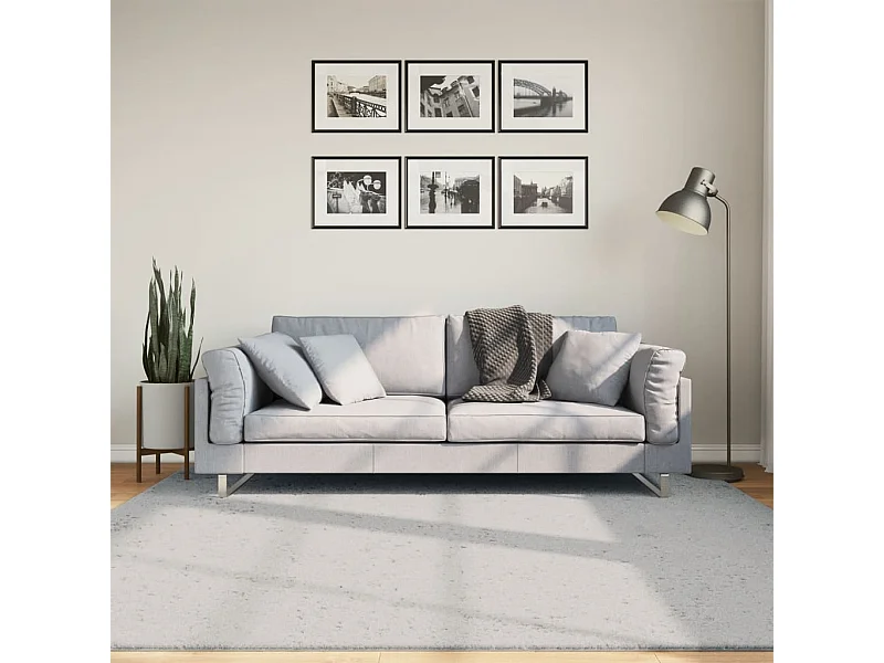 Tapis HUARTE à poils courts doux et lavable gris 200x200 cm QBH24398