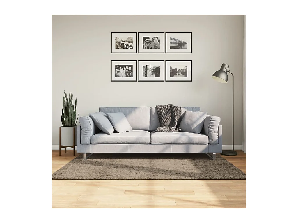 Tapis ISTAN à poils longs aspect brillant gris 120x170 cm QBH70800