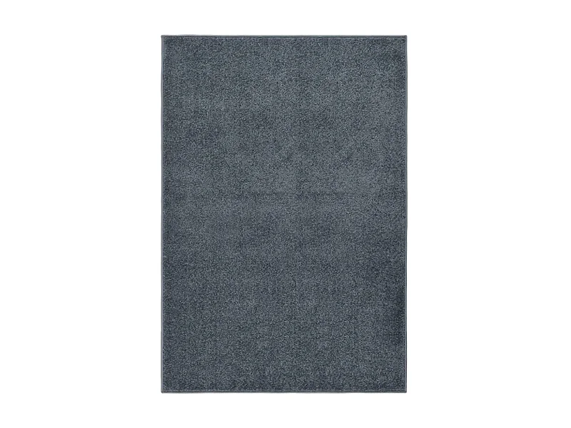Tapete de pelo curto 160x230 cm antracite PT670377