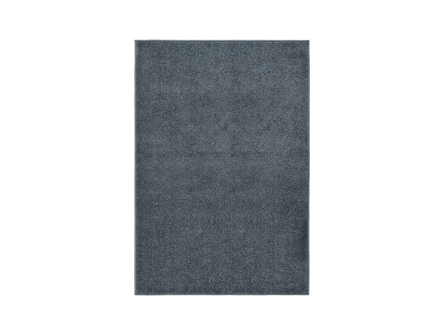 Tapis à poils courts 160x230 cm Anthracite QBH55384