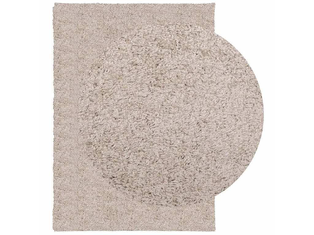 Tapis shaggy à poils longs moderne beige 120x170 cm QBH32945