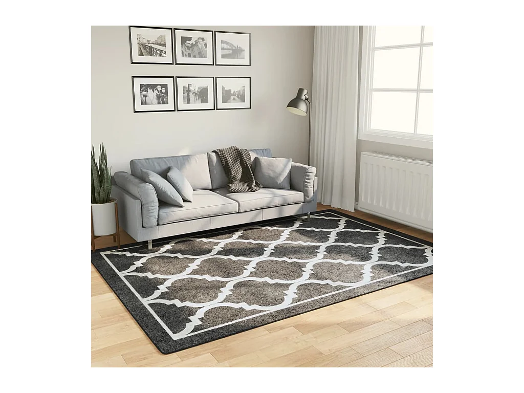 Tapis lavable noir et blanc 160x230 cm antidérapant QBH82729
