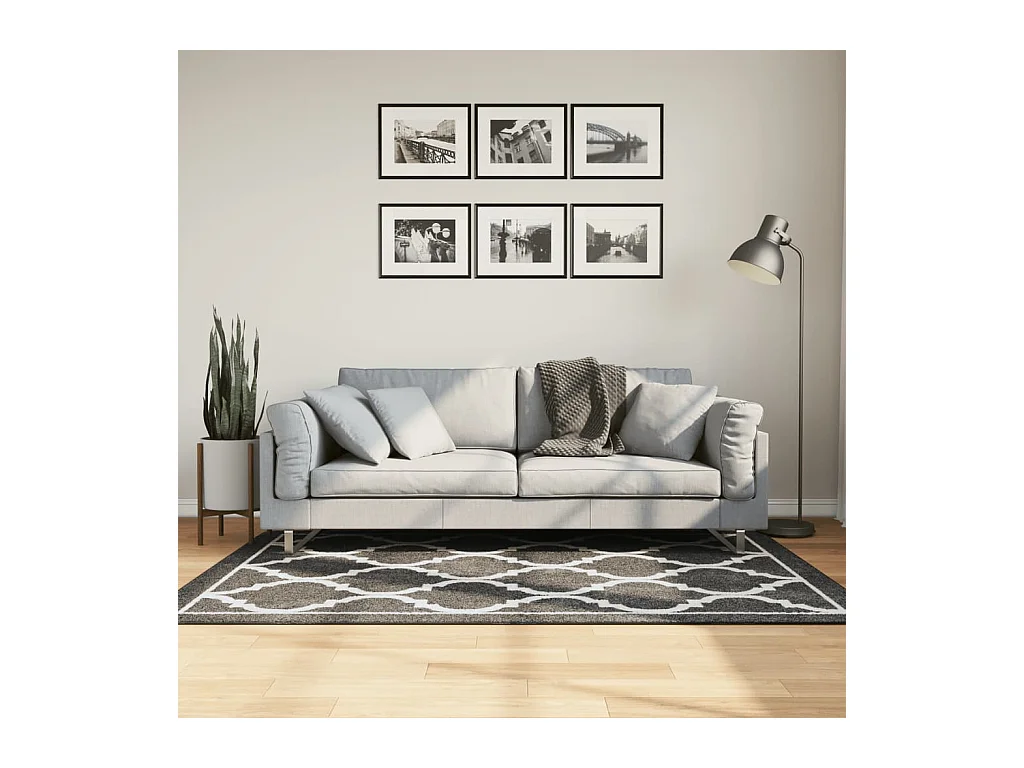 Tapis lavable noir et blanc 120x180 cm antidérapant QBH23888