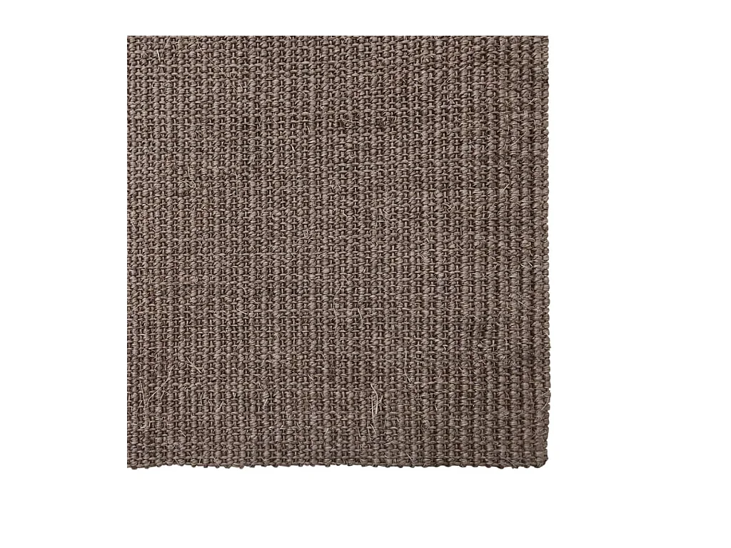 Tapis Sisal naturel 66x150 cm Marron QBH19460
