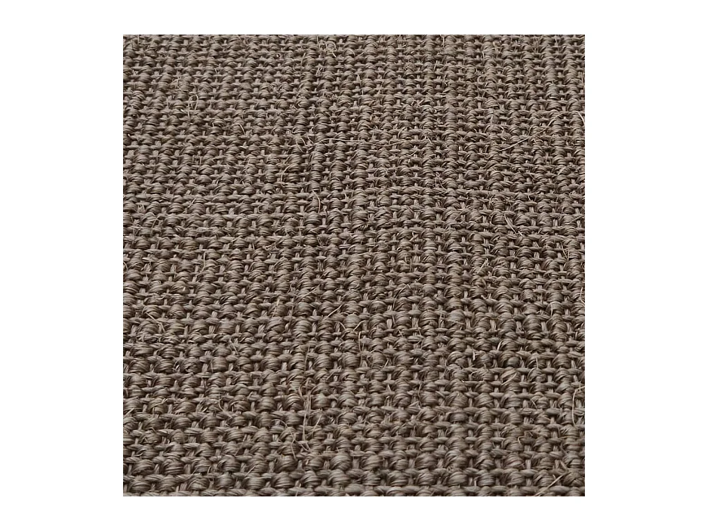 Tapis Sisal naturel 66x150 cm Marron QBH19460