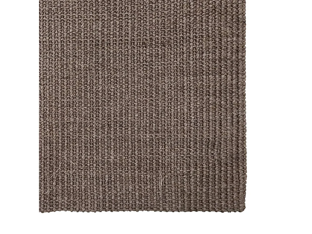 Vloerkleed 66x150 cm natuurlijk sisal bruin NL334096