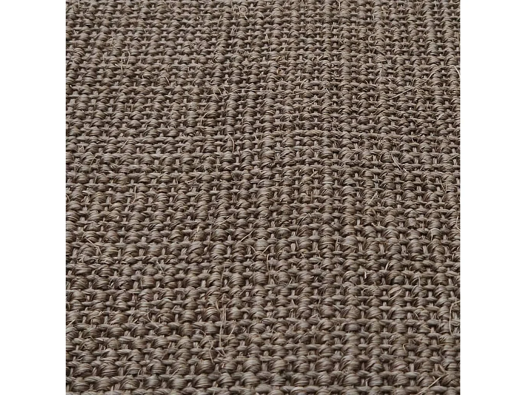 Vloerkleed 66x150 cm natuurlijk sisal bruin NL334096