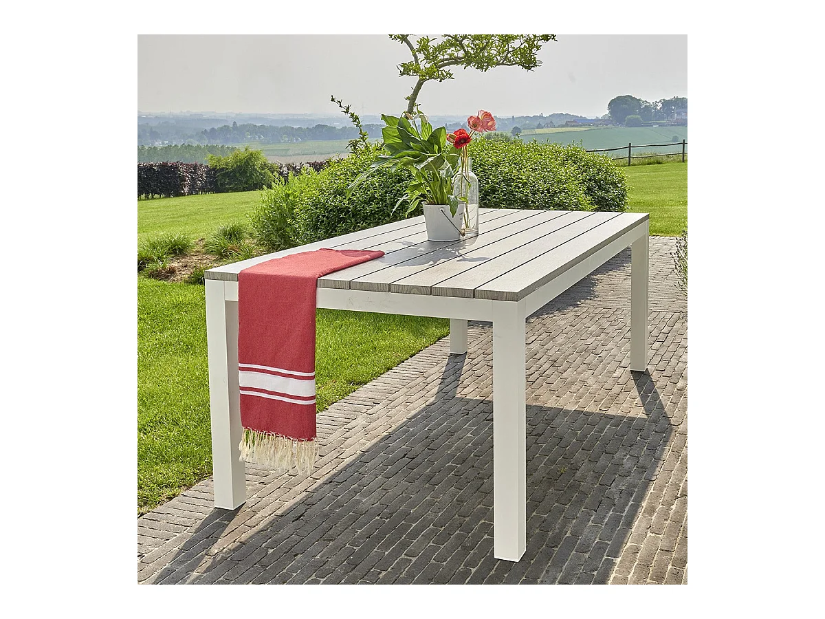 Table de jardin en aluminium blanc et gris 8 places