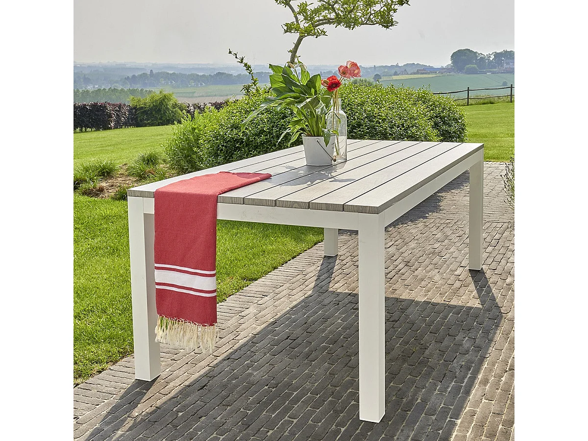 Table de jardin en aluminium blanc et gris 8 places
