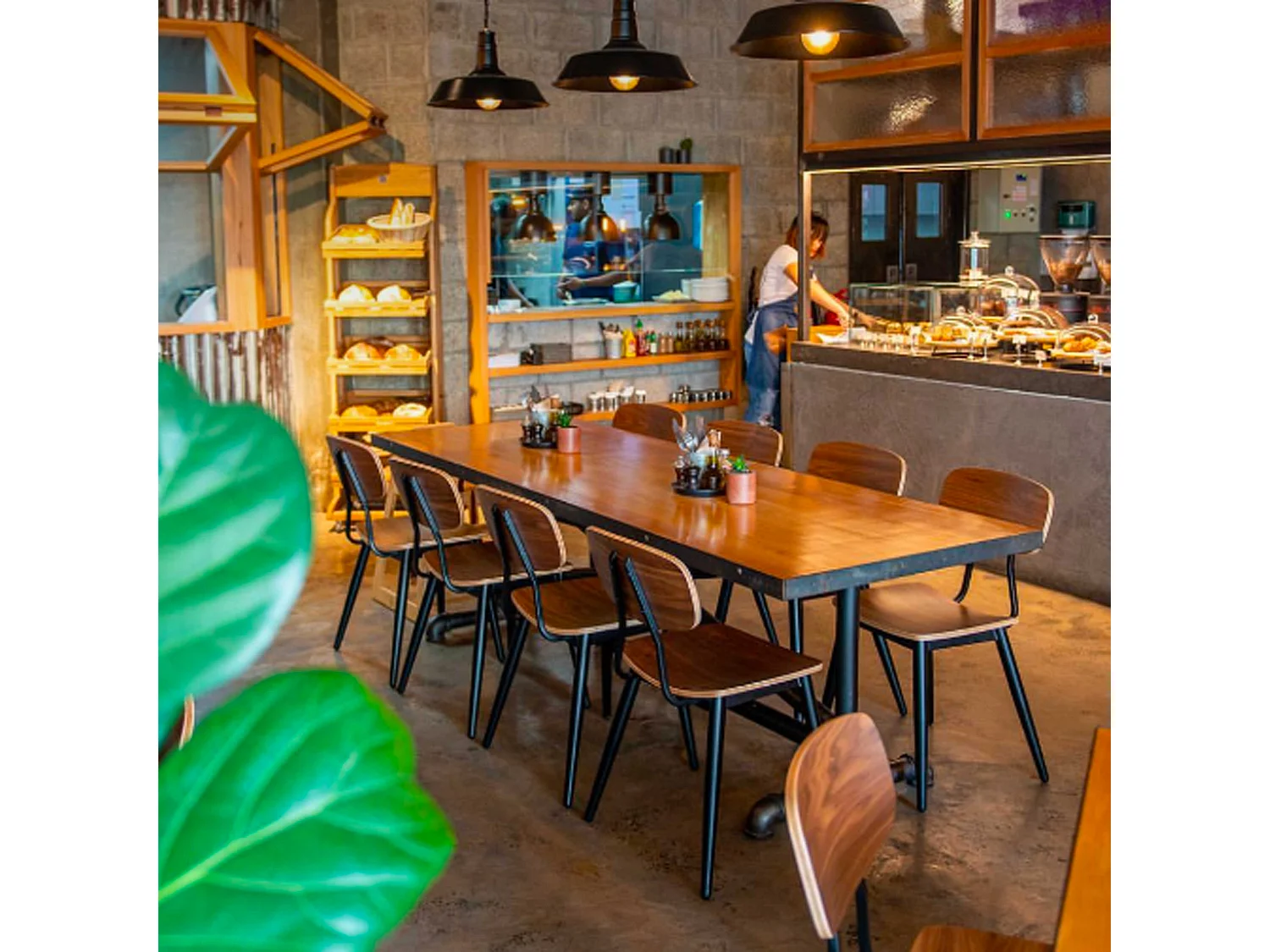 Lot de 2 chaises en bois