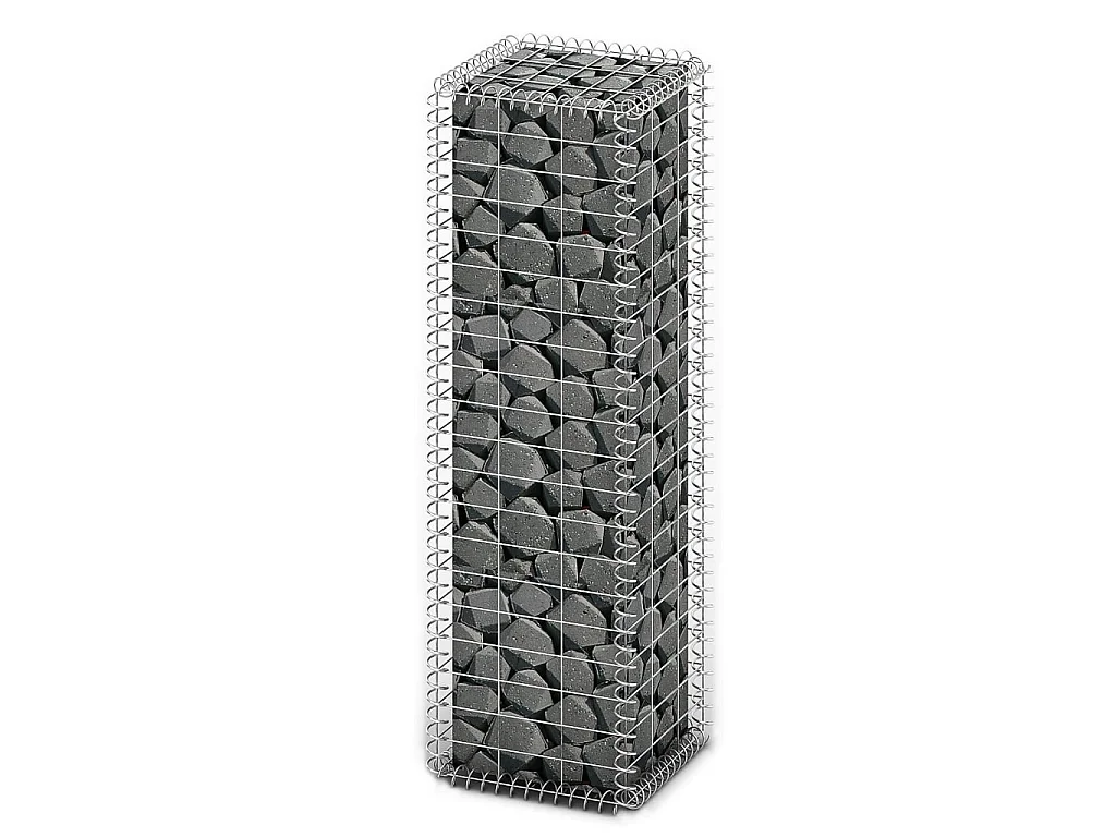 Panier de gabion avec couvercle Fil galvanisé 100 x 30x30