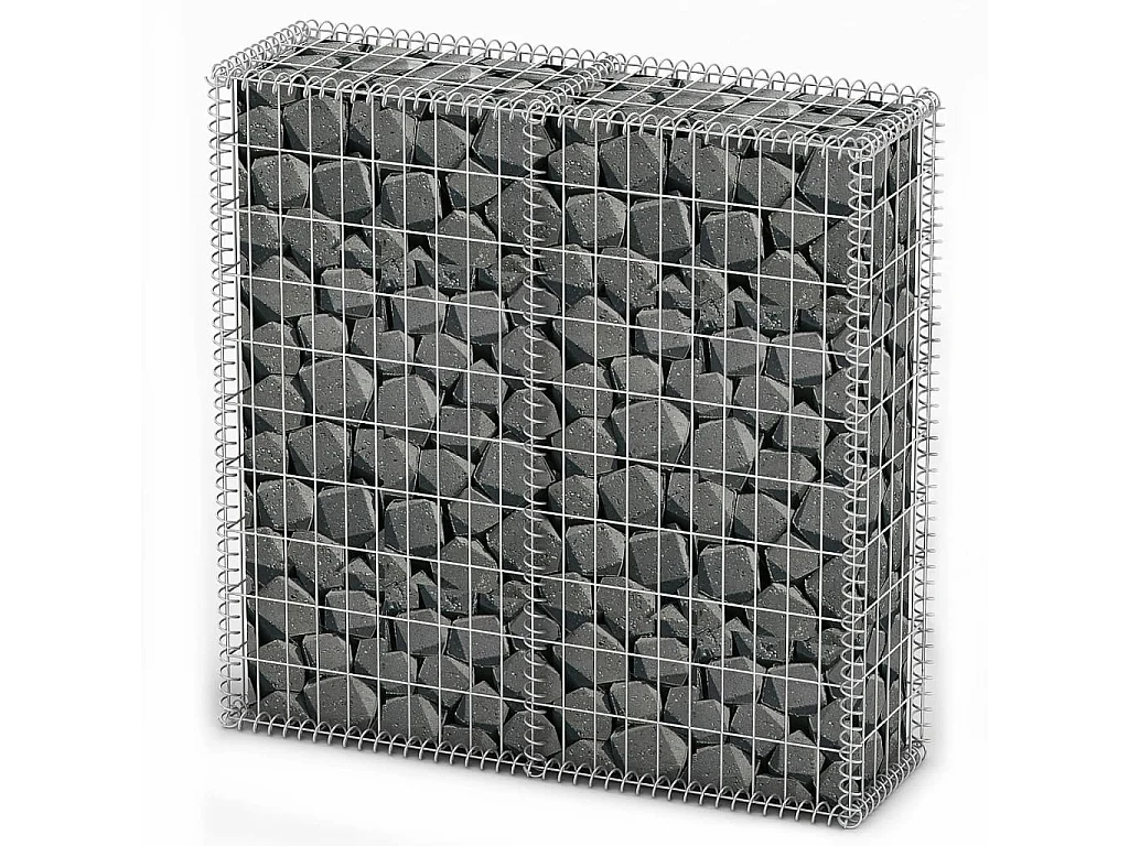 Panier de gabion avec couvercle Fil galvanisé 100 x 100x30