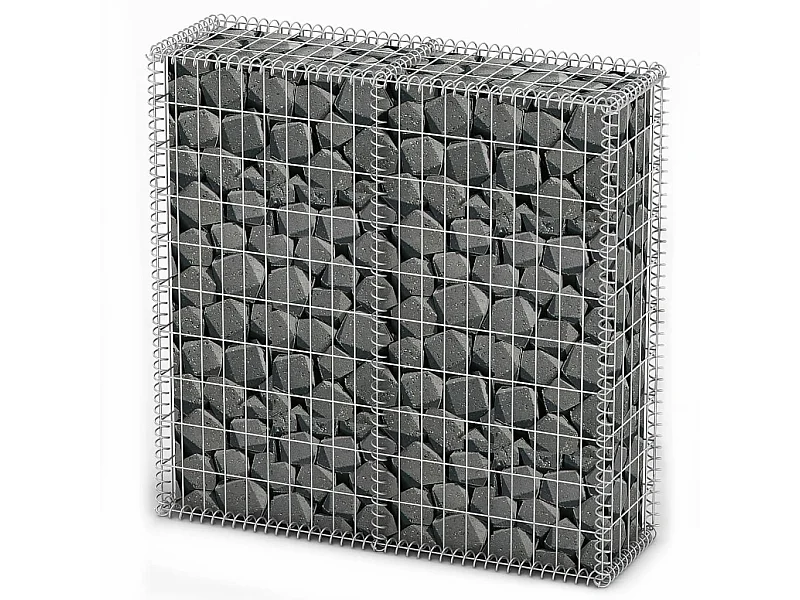Panier de gabion avec couvercle Fil galvanisé 100 x 100x30