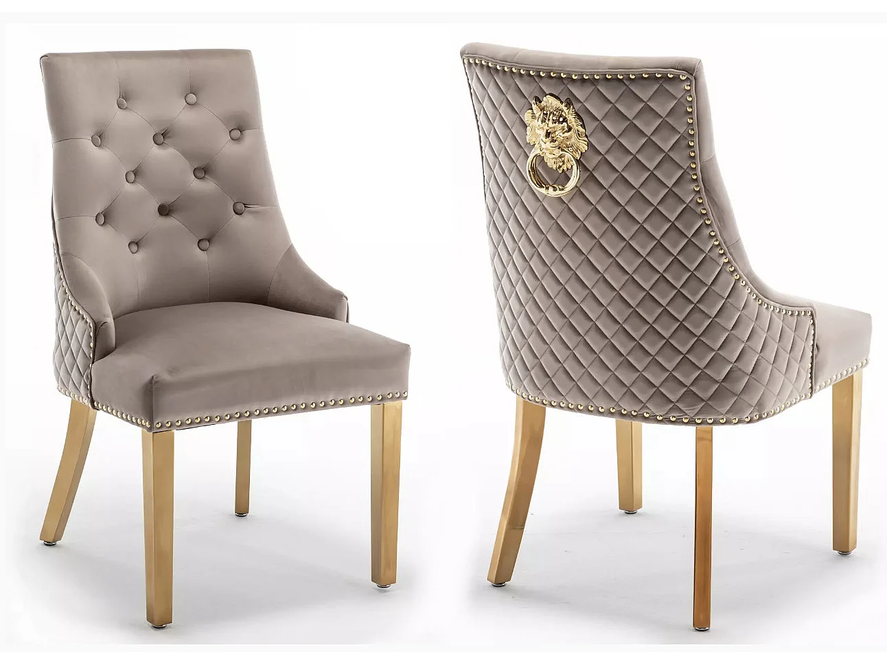 Chaise capitonnée velours avec anneau d'un lion au dos et pieds métal doré Elena - Lot de 2-Couleur Noir