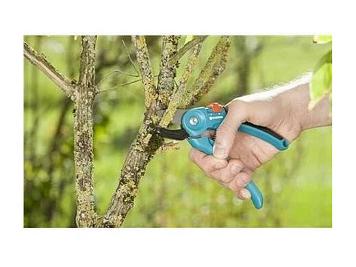 Sécateur a enclume Classic A/S – Ø18mm max – Lames affûtées a enclume antiadhésives – Garantie 25 ans