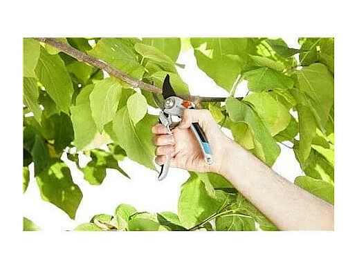 Sécateur alu a lame franche Comfort B/ L – Ø25mm max – Lames franches inox – Poignées aluminium – Garantie 25