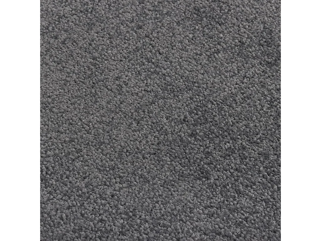 Tapete de porta 80x120 cm antracite PT211366