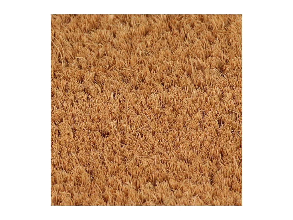 Paillasson de porte naturel demi-rond 60x90cm fibre de coco touffeté QBH35983