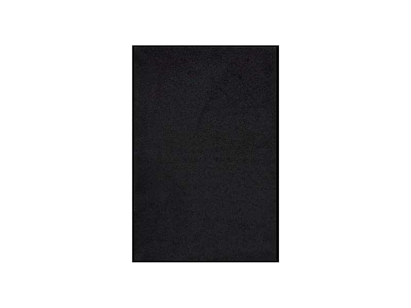 Paillasson Noir 80x120 cm QBH63874